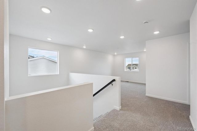 5635 Brangus Drive, Windsor, CO 80528