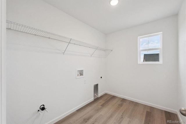 5635 Brangus Drive, Windsor, CO 80528