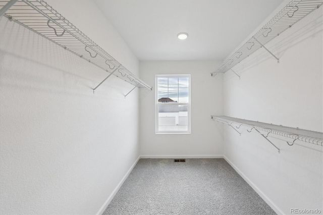 5635 Brangus Drive, Windsor, CO 80528