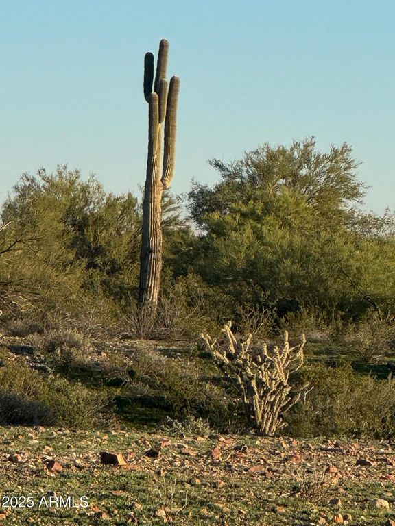 Image 14 of property listing at 417XX N 252ND Avenue -, Morristown, AZ 85342