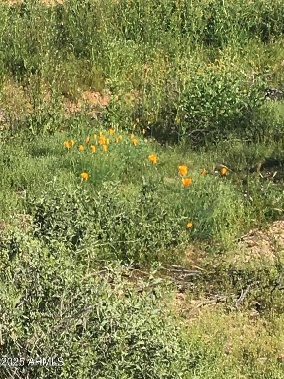 Image 4 of property listing at 417XX N 252ND Avenue -, Morristown, AZ 85342