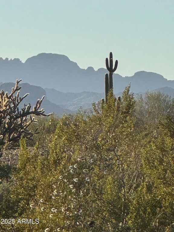 Image 9 of property listing at 417XX N 252ND Avenue -, Morristown, AZ 85342