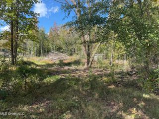 River Ridge Circle, Byhalia, MS 38611