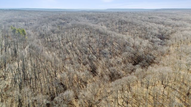 14209 S 439, Locust Grove, OK 74352