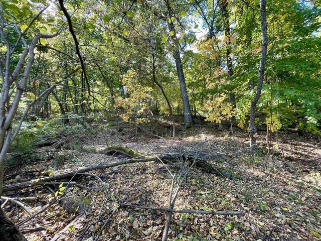 1.5 Ac Sugar River, Albany, WI 53502