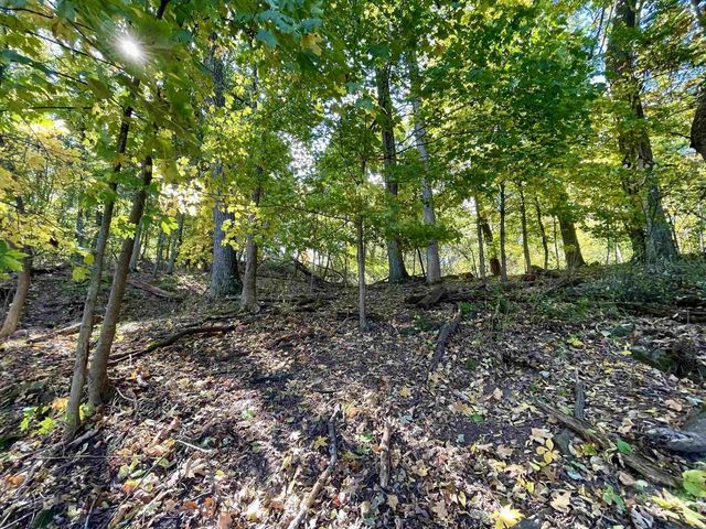 1.5 Ac Sugar River, Albany, WI 53502