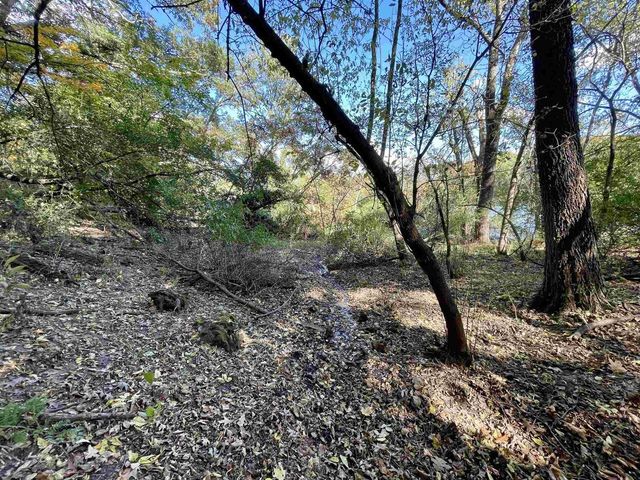 1.5 Ac Sugar River, Albany, WI 53502