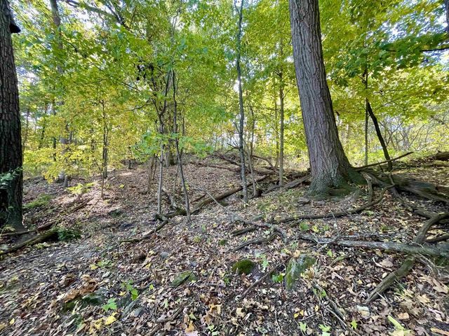 1.5 Ac Sugar River, Albany, WI 53502