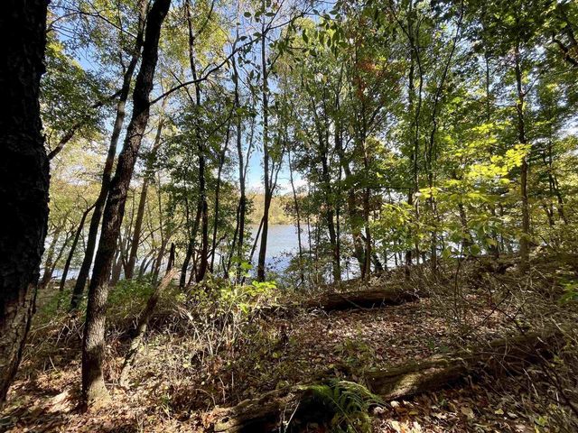1.5 Ac Sugar River, Albany, WI 53502
