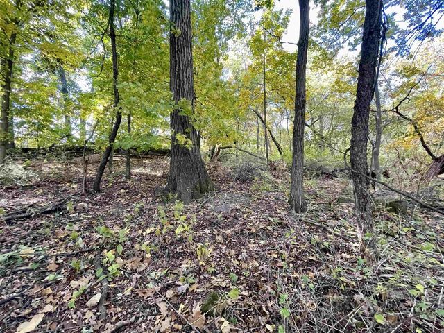 1.5 Ac Sugar River, Albany, WI 53502