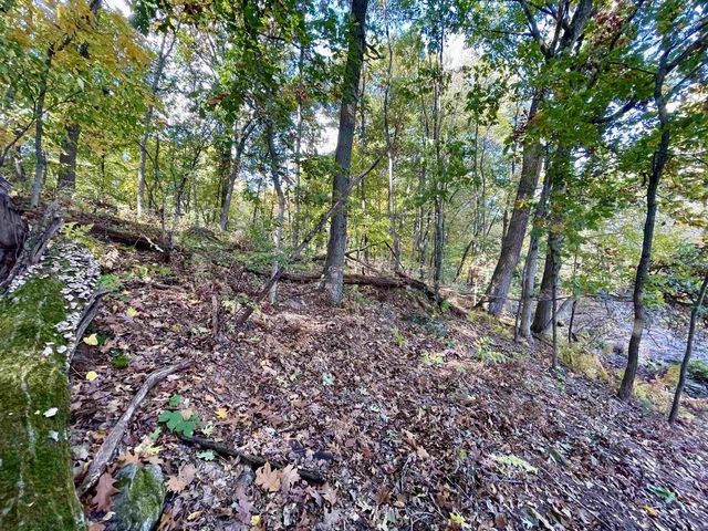 1.5 Ac Sugar River, Albany, WI 53502