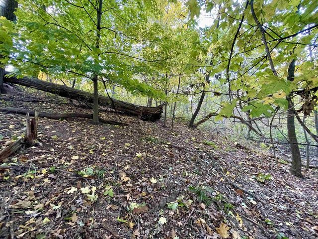 1.5 Ac Sugar River, Albany, WI 53502