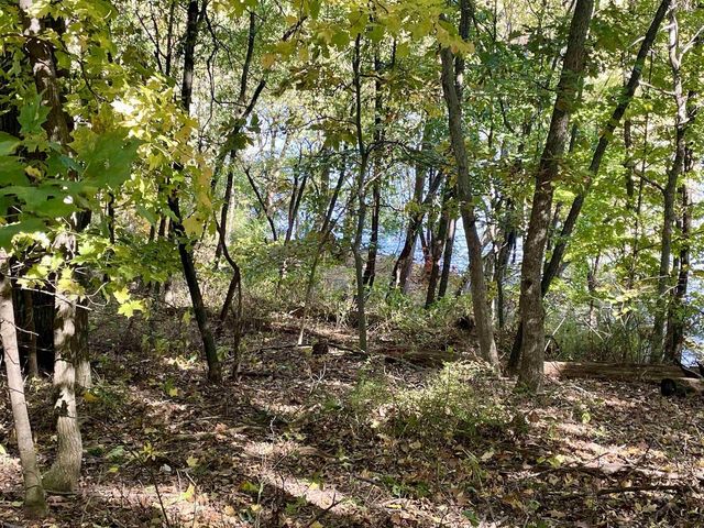 1.5 Ac Sugar River, Albany, WI 53502