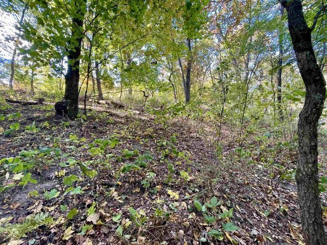 1.5 Ac Sugar River, Albany, WI 53502