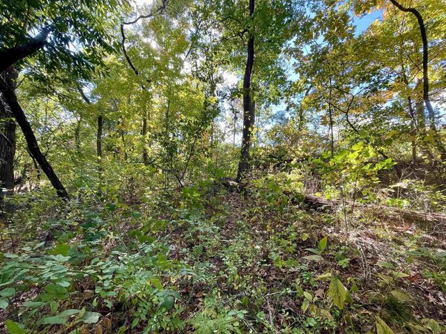 1.5 Ac Sugar River, Albany, WI 53502