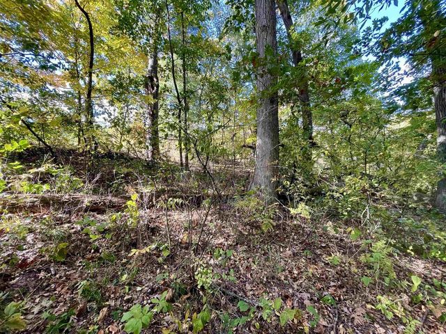 1.5 Ac Sugar River, Albany, WI 53502