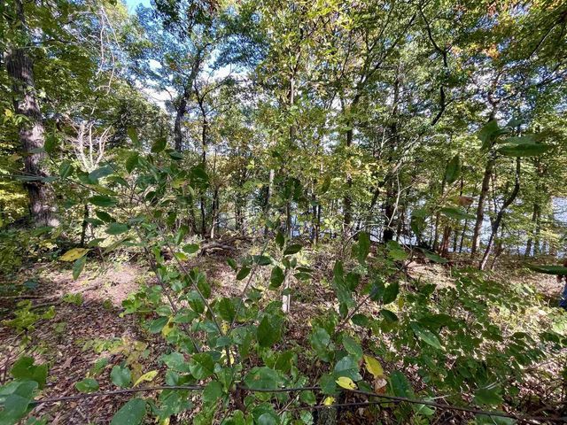 1.5 Ac Sugar River, Albany, WI 53502
