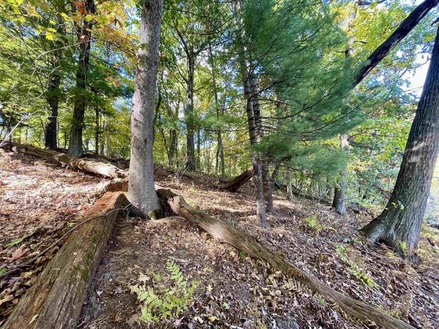 1.5 Ac Sugar River, Albany, WI 53502