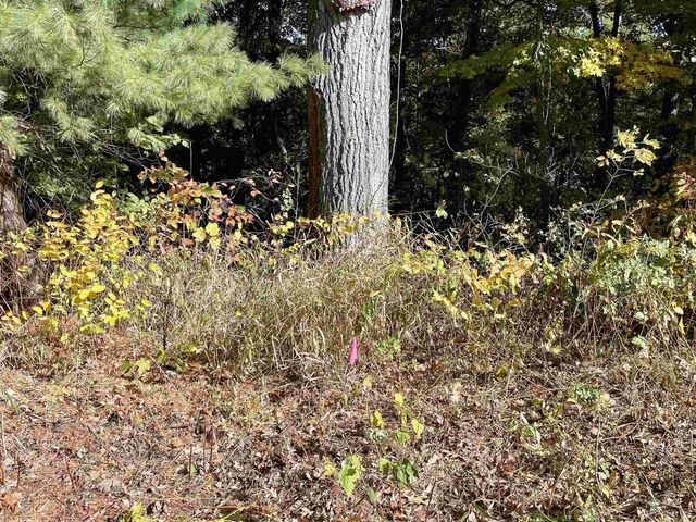 1.5 Ac Sugar River, Albany, WI 53502