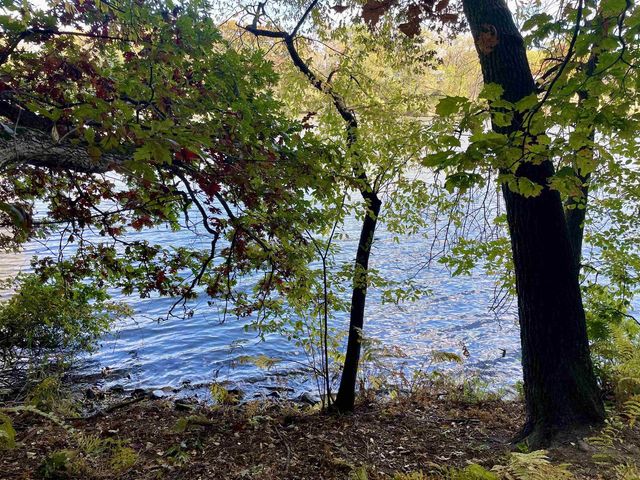1.5 Ac Sugar River, Albany, WI 53502