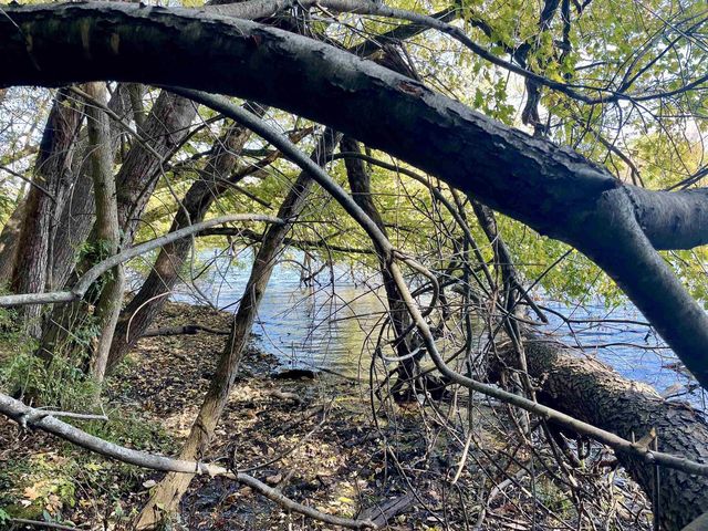 1.5 Ac Sugar River, Albany, WI 53502