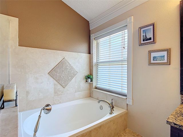 5637 PADDOCK TRAIL DRIVE, Tampa, FL 33624