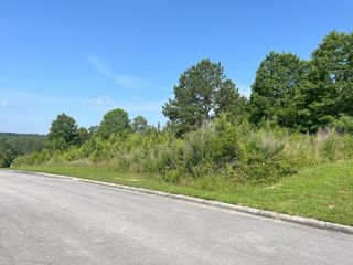 0 Stonegate Place, Cohutta, GA 30710