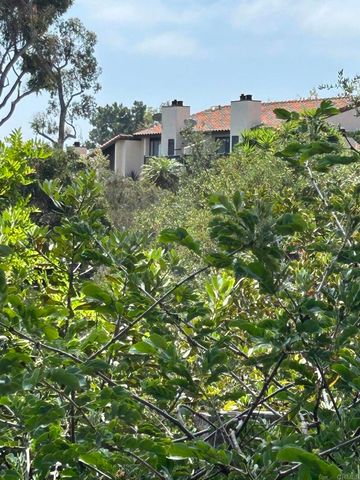 2146 Valleydale Lane, Encinitas, CA 92024
