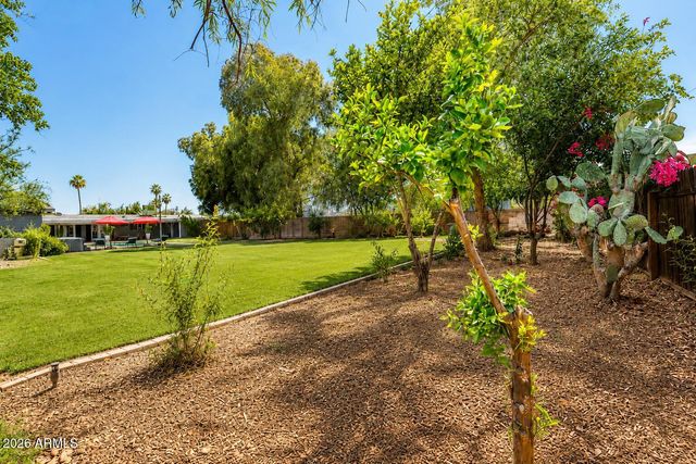 7116 E JENAN Drive, Scottsdale, AZ 85254