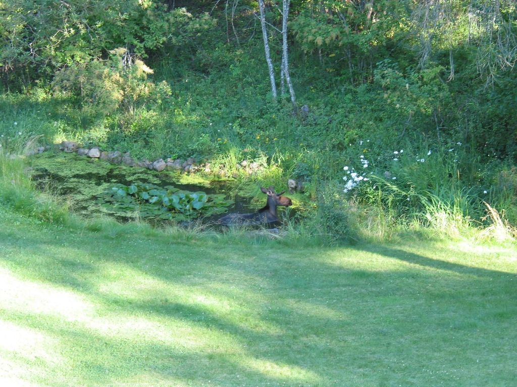 5418 S Wallbridge Rd, Deer Park, WA 99006 photo 22