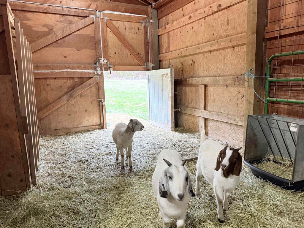 5418 S Wallbridge Rd, Deer Park, WA 99006 photo 27