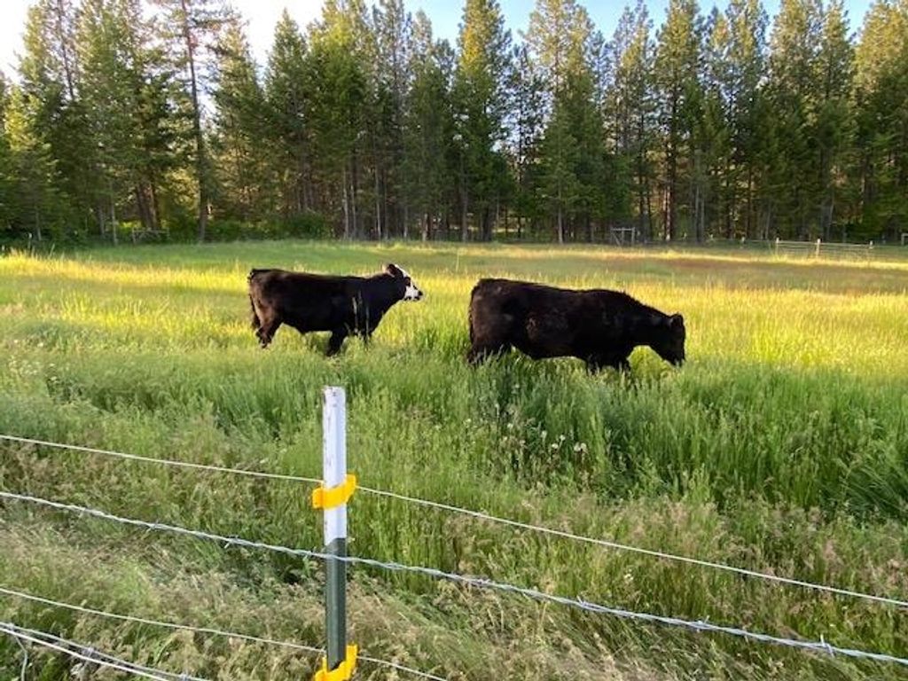 5418 S Wallbridge Rd, Deer Park, WA 99006 photo 31