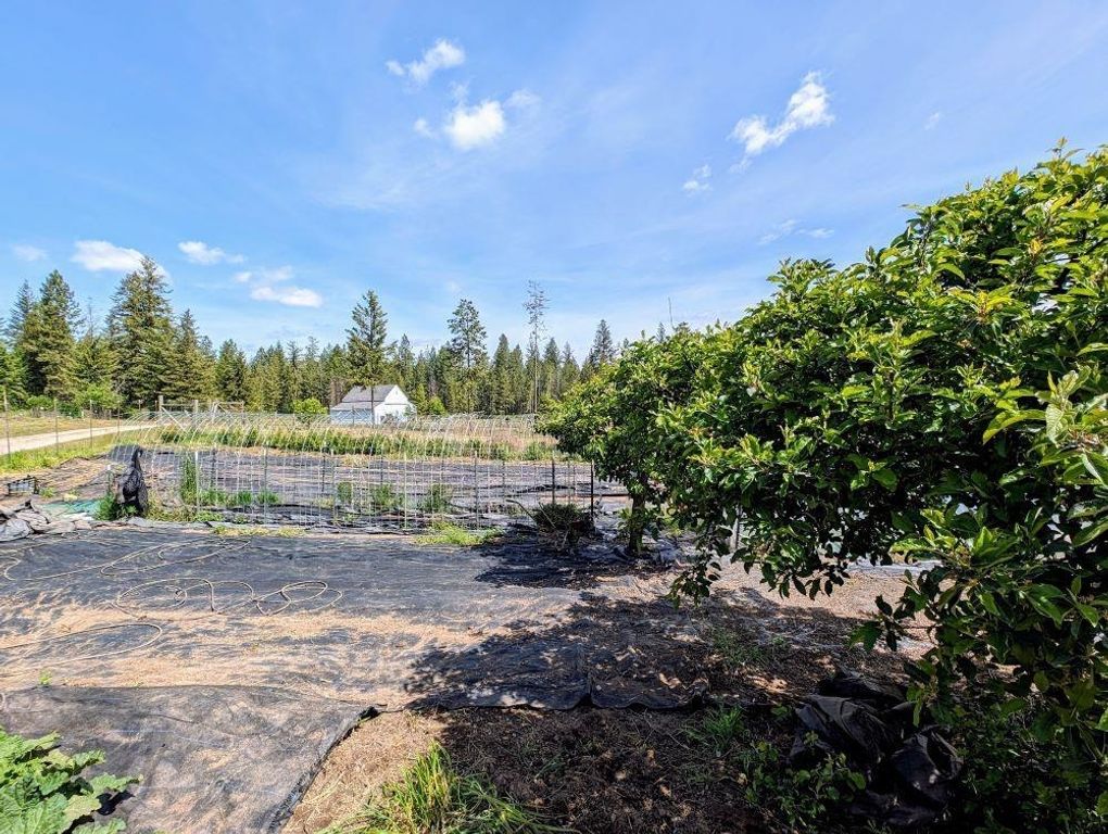 5418 S Wallbridge Rd, Deer Park, WA 99006 photo 32