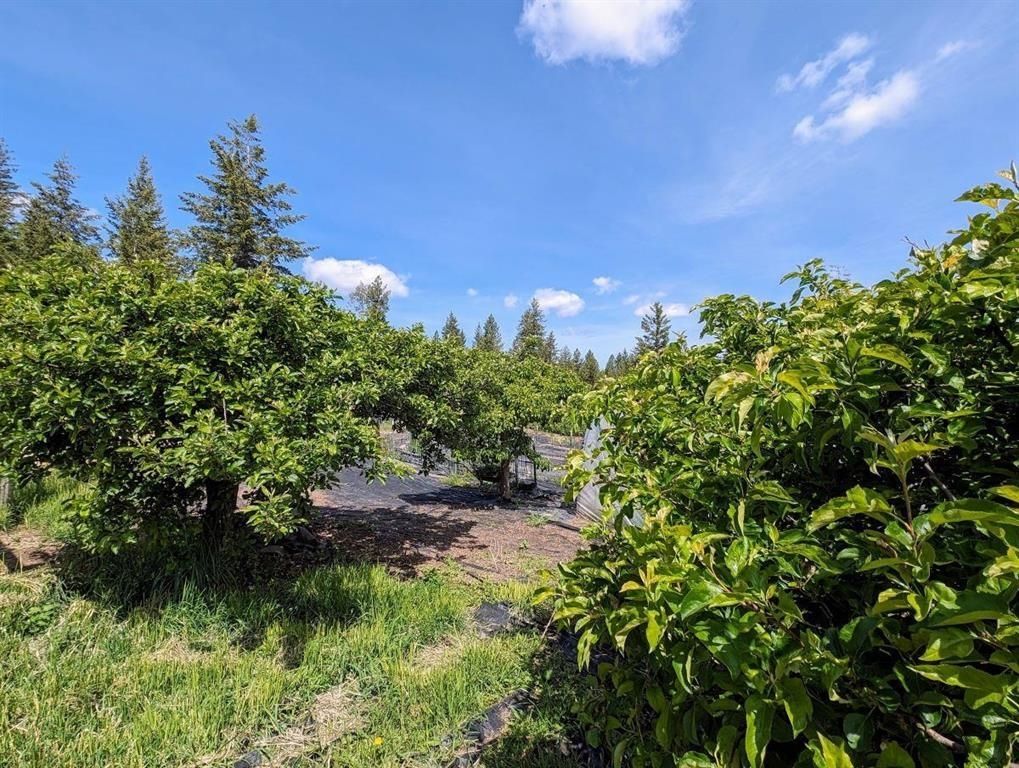 5418 S Wallbridge Rd, Deer Park, WA 99006 photo 33