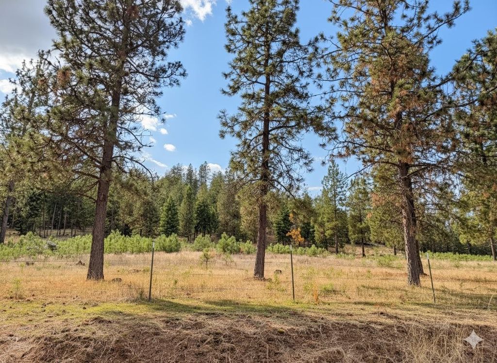 5418 S Wallbridge Rd, Deer Park, WA 99006 photo 41