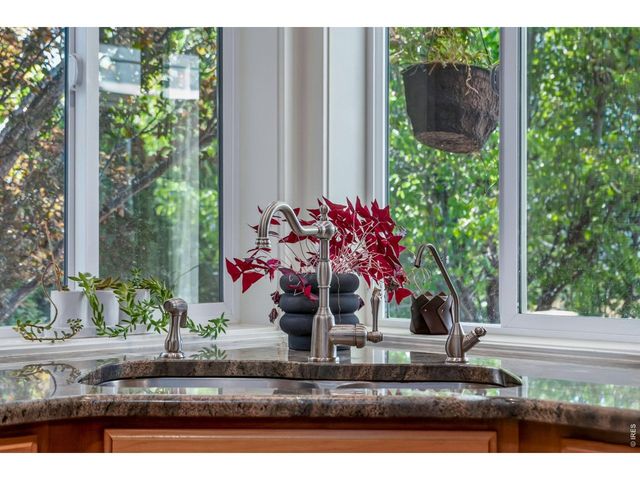 1696 Dolores River Dr, Windsor, CO 80550