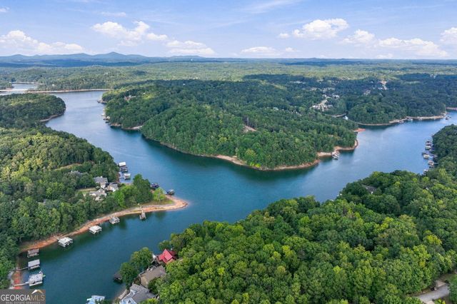 319 Chestatee View Drive, Dawsonville, GA 30534