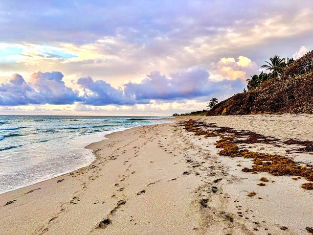 4101 N Ocean Boulevard D-1608, Boca Raton, FL 33431