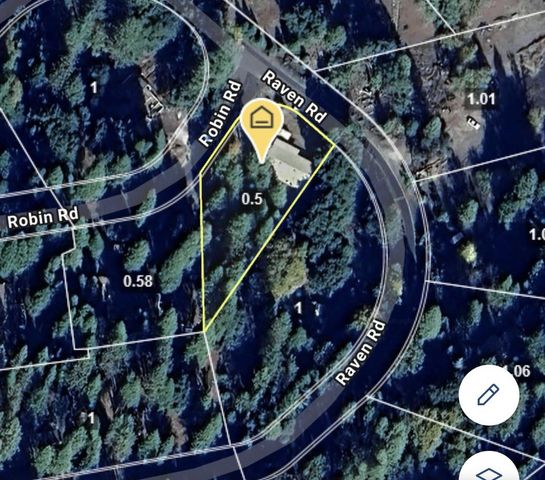 23568 Robin Rd, Pioneer, CA 95666