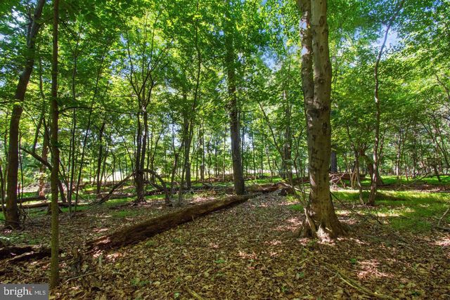 600 TURF FARM DR, Sykesville, MD 21784