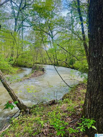 0 COUNTY ROAD 8, Piedmont, AL 36272
