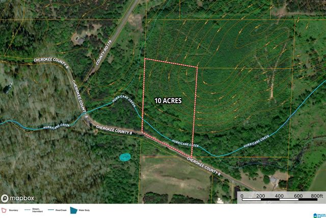 0 COUNTY ROAD 8, Piedmont, AL 36272