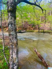 0 COUNTY ROAD 8, Piedmont, AL 36272