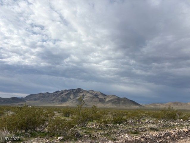 91 East Aardvark Road, Amargosa Valley, NV 89020