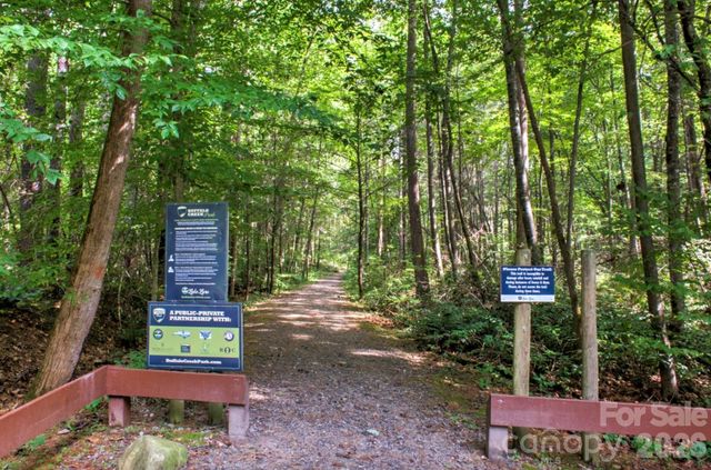 1943 Buffalo Creek Road, Lake Lure, NC 28746