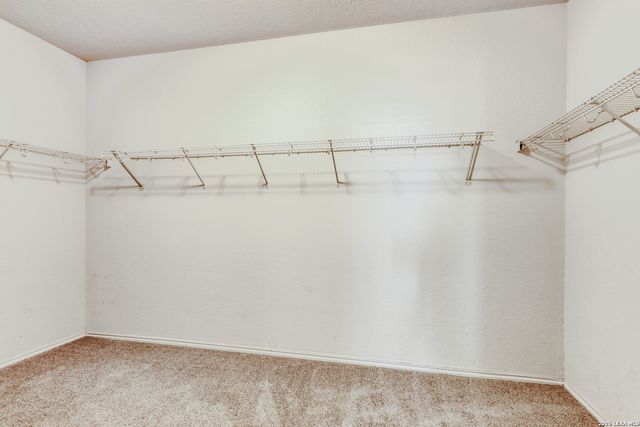 7231 Capricorn Way, Converse, TX 78109