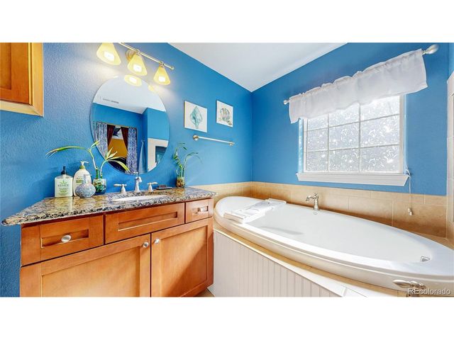 1431 Marion St, Georgetown, CO 80444