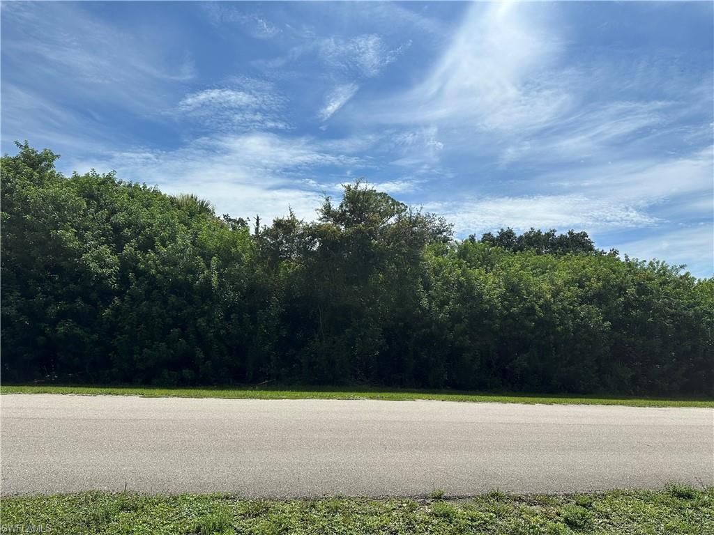 18430 River Estates LN, ALVA, FL 33920 — photo 2