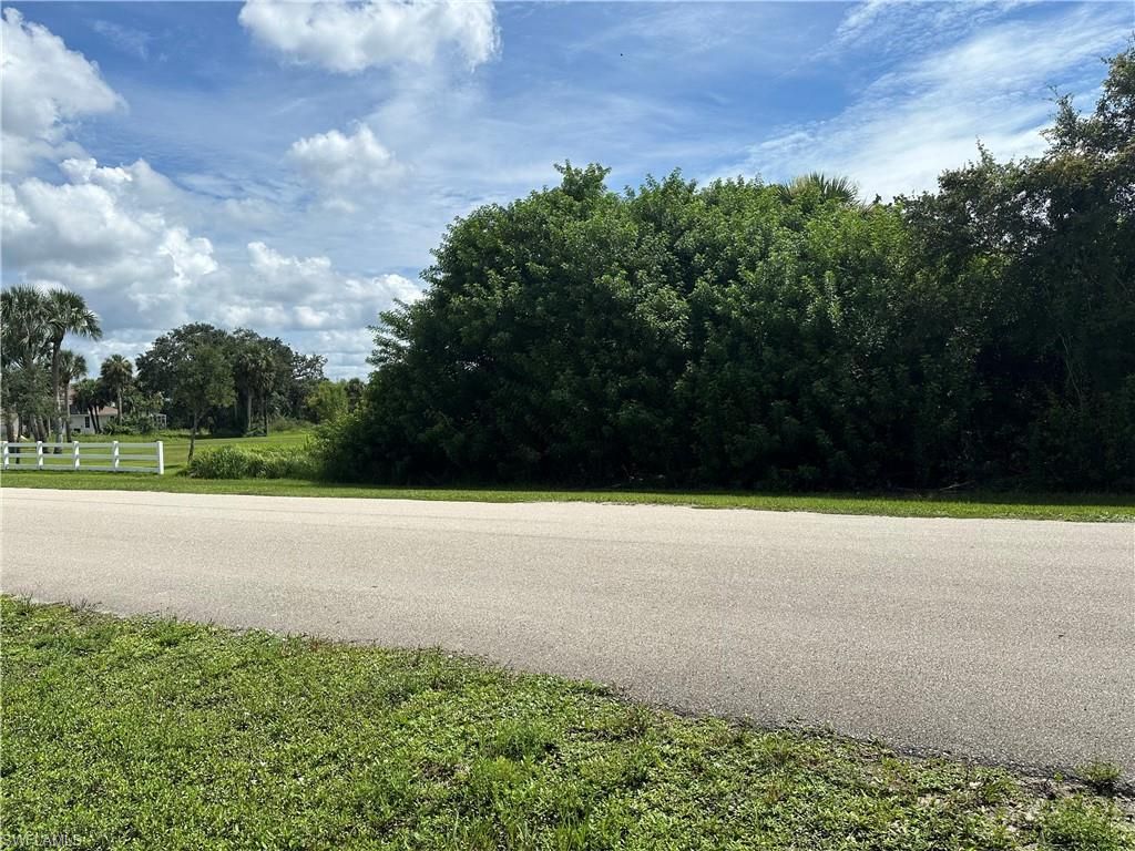 18430 River Estates LN, ALVA, FL 33920 — photo 4