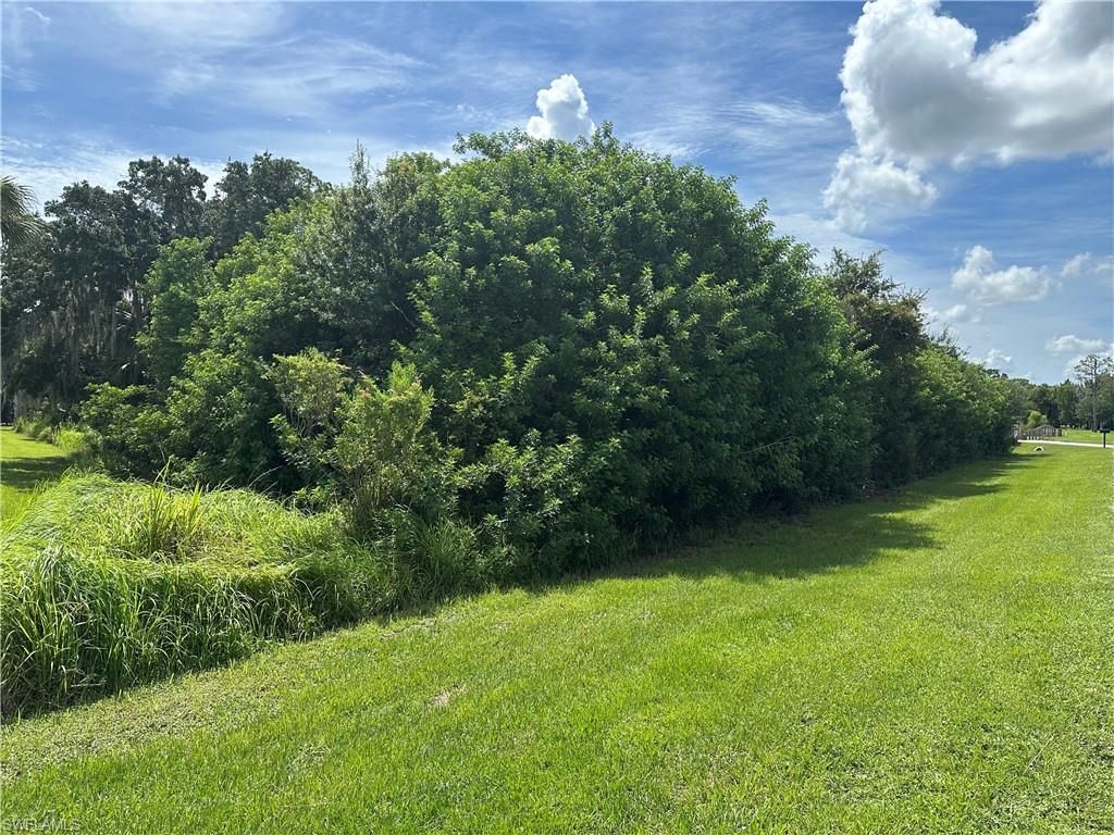 18430 River Estates LN, ALVA, FL 33920 — photo 5